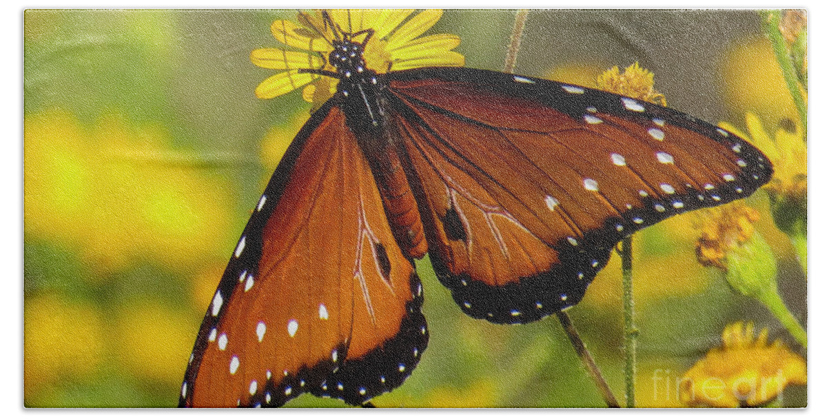 Nature Beach Sheet featuring the photograph Butterfly 1 by Christy Garavetto