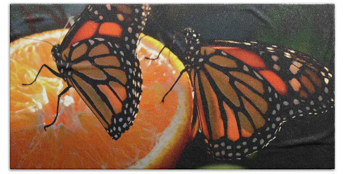 Butterflies Beach Towel featuring the photograph Butterfly Attraction by Lena Wilhite