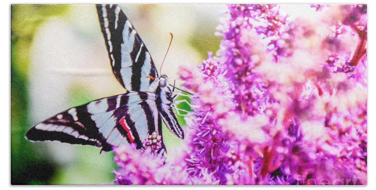 Peggy Franz Photography Beach Towel featuring the photograph Butterfly Beautiful by Peggy Franz
