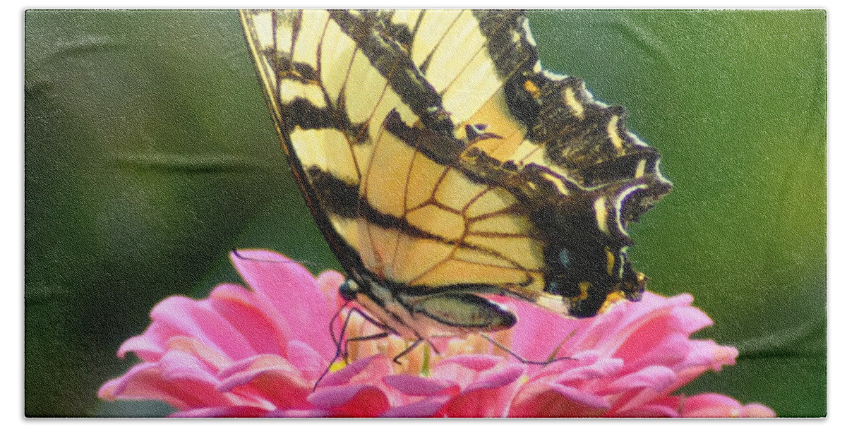 Butterfly Beach Towel featuring the photograph Butterfly by Bill Cannon