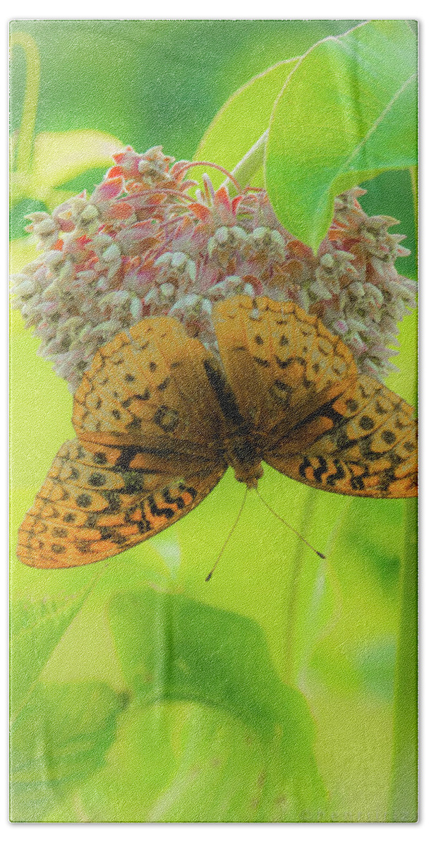 Butterfly Beach Sheet featuring the photograph Butterfly On Wild Flower by Henri Irizarri