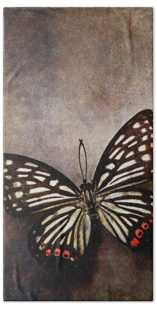 Butterfly Beach Towel featuring the photograph Butterfly over textured background by Stephanie Frey