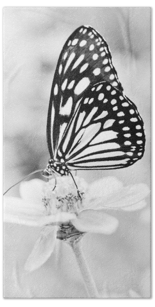 Butterfly Wings Beach Towel featuring the photograph Butterfly Wings 7 - Black And White by Marianna Mills