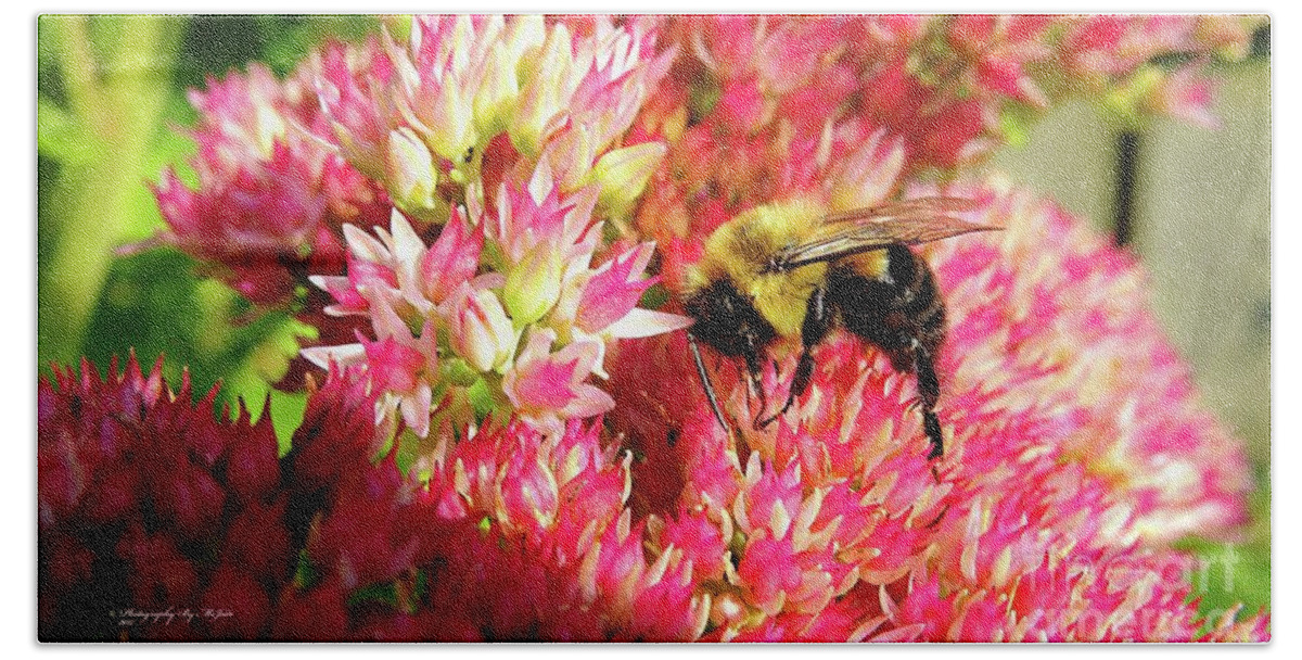 Bee Beach Towel featuring the photograph Buzy Bee by Ms Judi