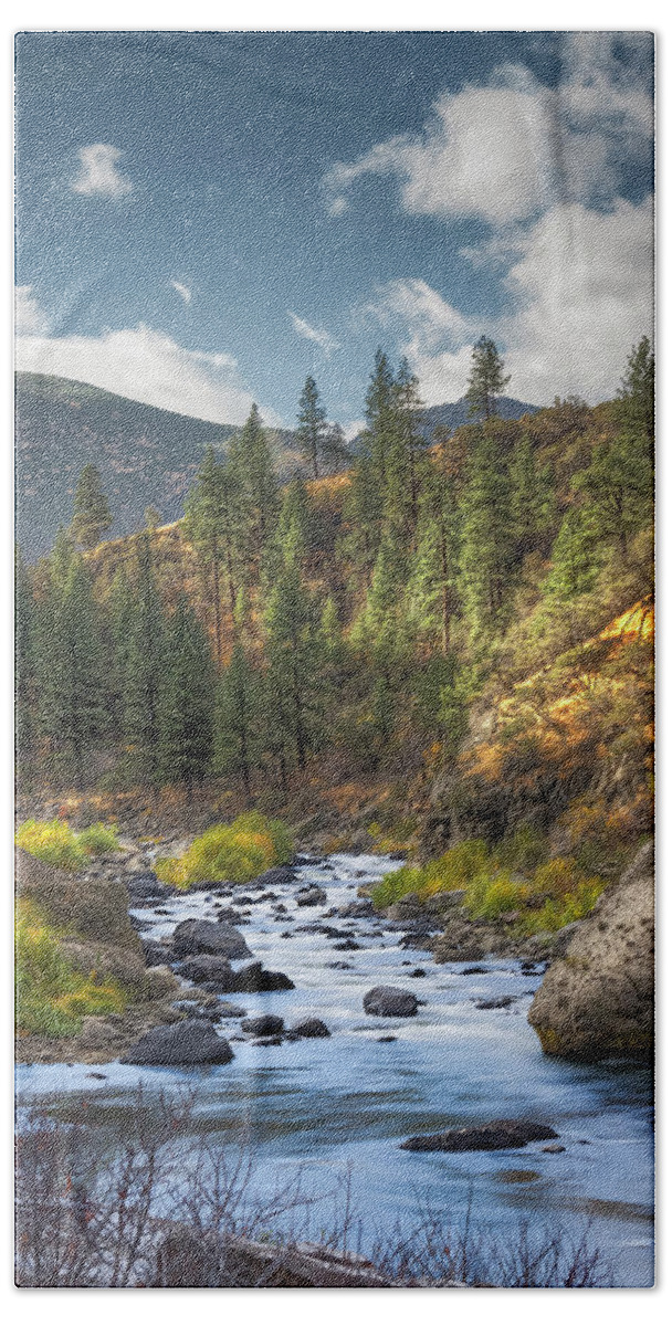Nevada Beach Towel featuring the photograph CA/Nevada Stream by Bruce Bottomley