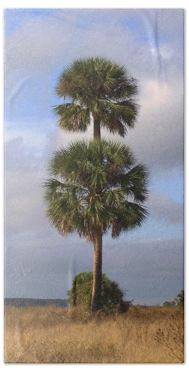 Nature Beach Sheet featuring the photograph Cabbage Palms by Peggy Urban