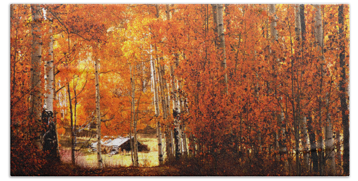 Zion Beach Towel featuring the photograph Cabin Among the Aspen by Alan Socolik