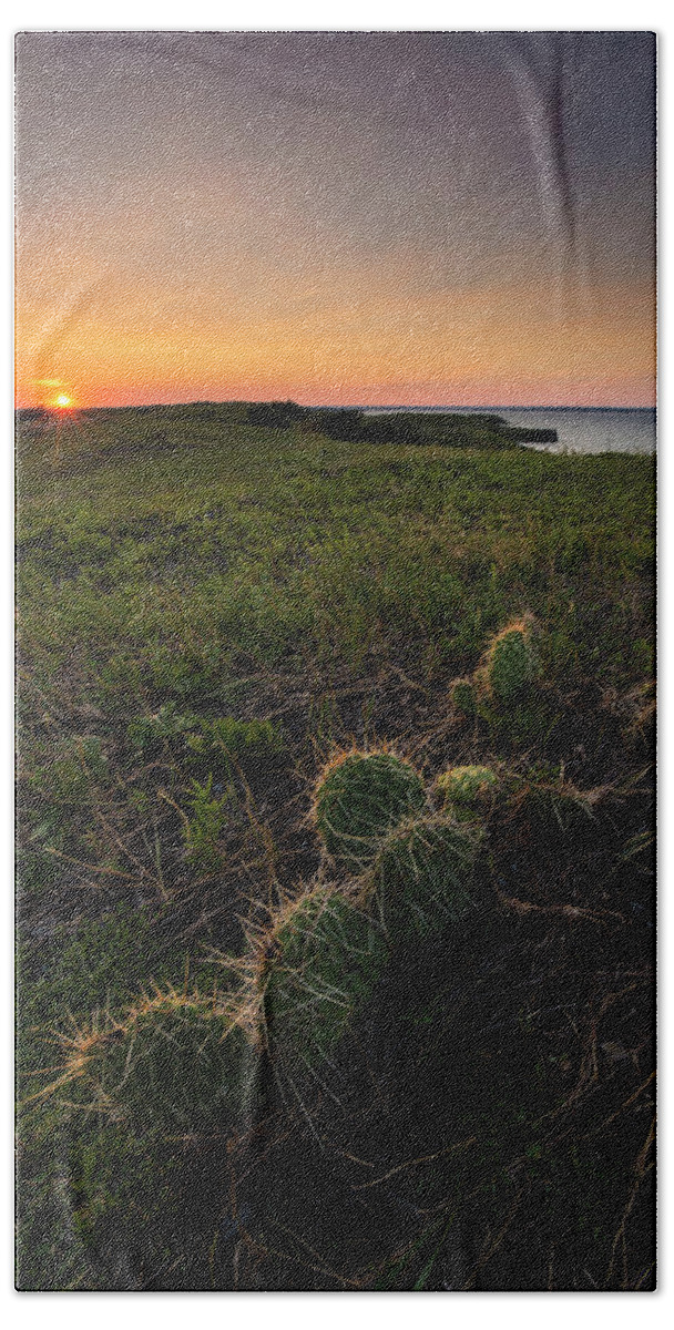  Beach Sheet featuring the photograph Cactus by Aaron J Groen