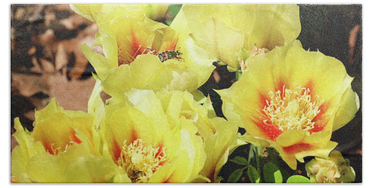 Nature Beach Sheet featuring the photograph Cactus Flowers and Friend by Sheila Brown