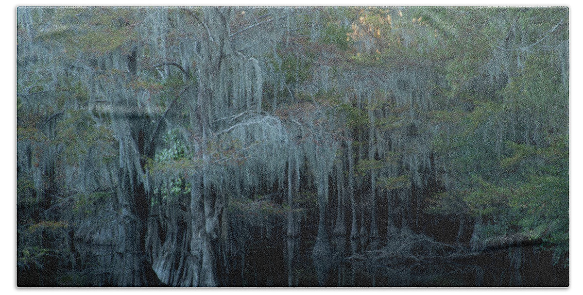 Caddo Lake Beach Towel featuring the photograph Caddo Lake #2 by David Chasey