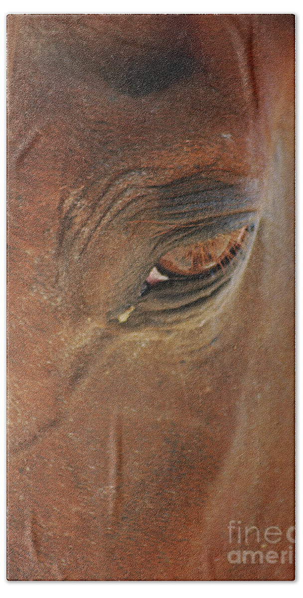 Cades Cove Beach Towel featuring the photograph Cades Cove Horse 20150907_39 by Tina Hopkins