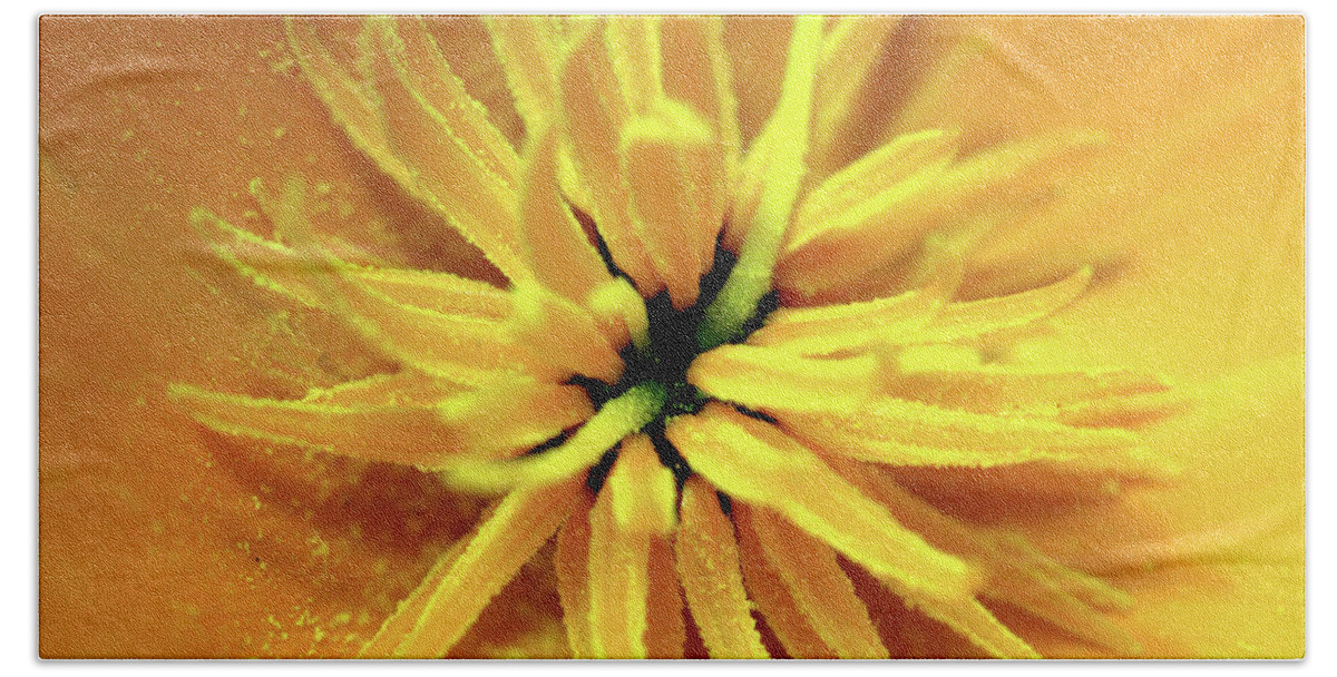 Californian Beach Towel featuring the photograph Californian Poppy Macro by Stephen Melia