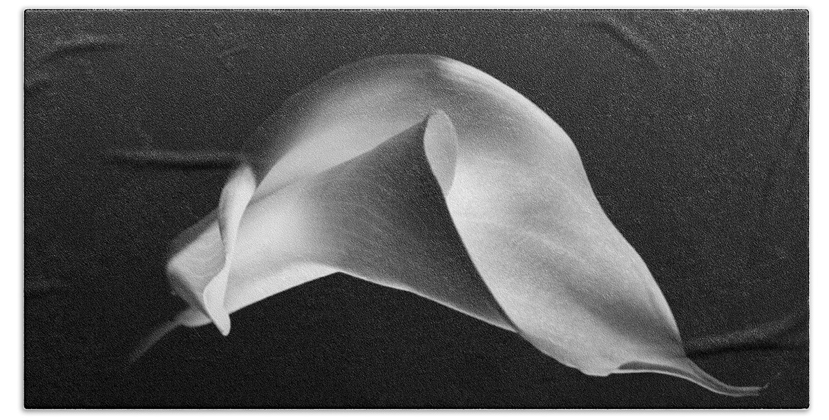 Black And White Beach Towel featuring the photograph Calla Lily 1 by Lilia S
