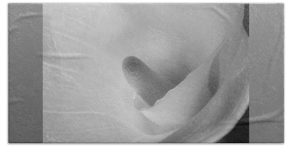 Flower Beach Towel featuring the photograph Calla Lily by John Roach