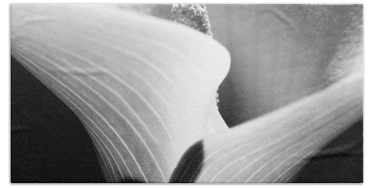 Monochrome Beach Towel featuring the photograph Calla Lily by Stelios Kleanthous