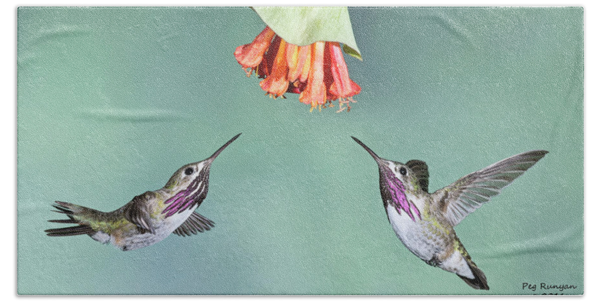 Hummingbirds Beach Sheet featuring the photograph Calliope Hummingbirds by Peg Runyan