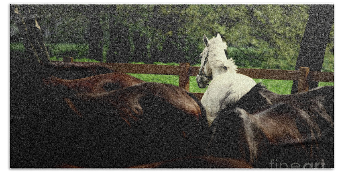 Horse Beach Towel featuring the photograph Calm horses by Dimitar Hristov