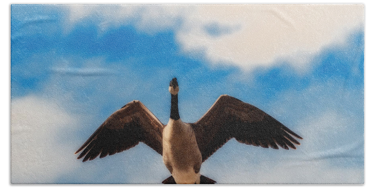 Heron Heaven Beach Towel featuring the photograph Canada Geese In Spring by Ed Peterson