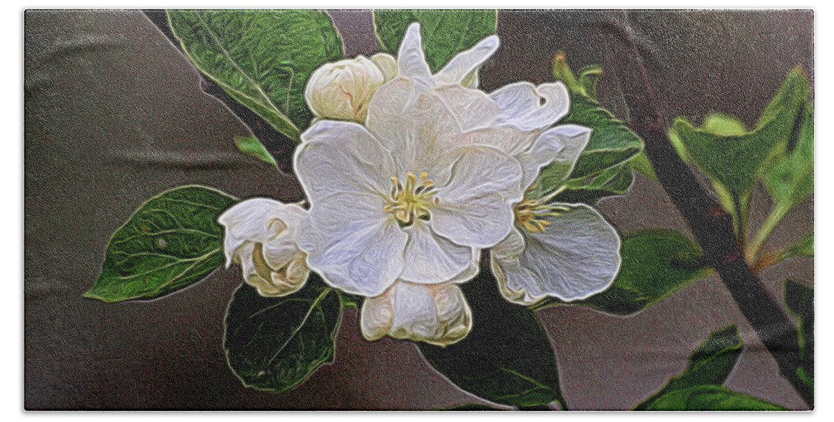 Canadian Beach Towel featuring the photograph Canadian Dogwood by Vivian Martin
