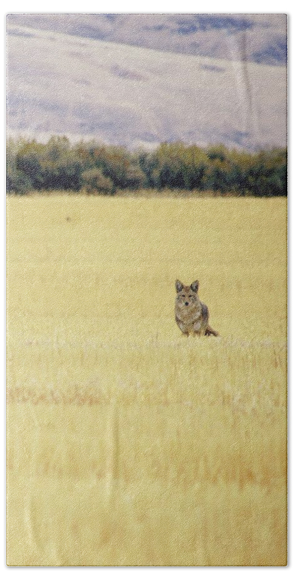 Landscape Beach Sheet featuring the photograph Canidae by Robin Dickinson