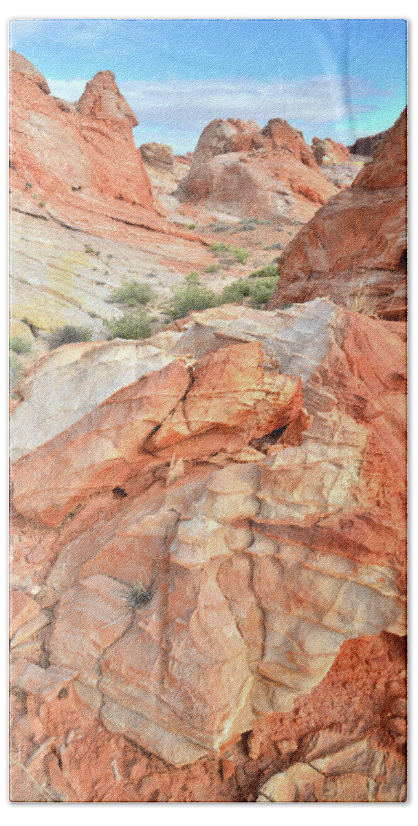 Valley Of Fire State Park Beach Sheet featuring the photograph Canyon Color in Valley of Fire by Ray Mathis