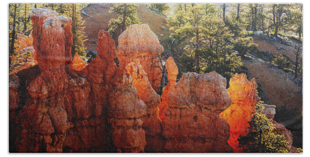 Hoodoos Beach Towel featuring the photograph Canyon Glow in Bryce Canyon National Park Utah by Vishwanath Bhat