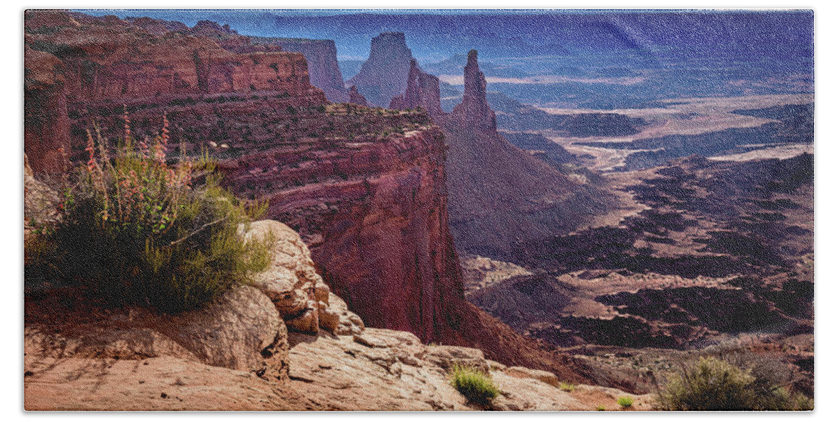 Bird Beach Towel featuring the photograph Canyonlands Vista by John Hight