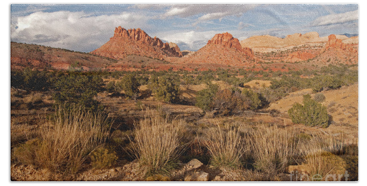 Burr Trail Road Beach Towel featuring the photograph Capital Reef National Park by Cindy Murphy - NightVisions