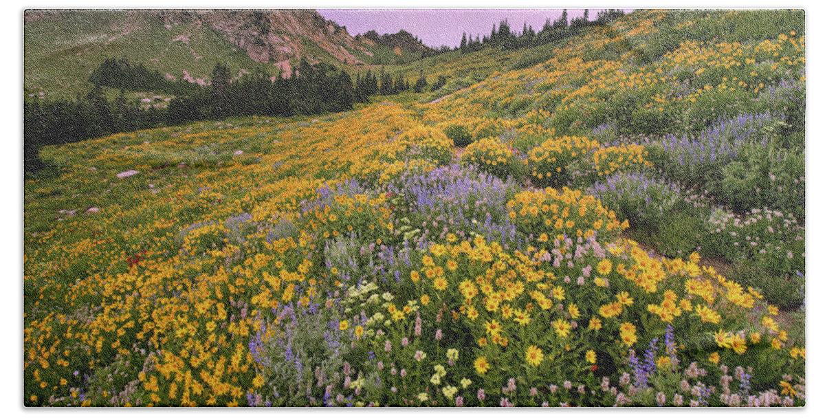 Utah Beach Towel featuring the photograph Cardiff Pass Sunset and Wildflowers - Alta, Utah by Brett Pelletier