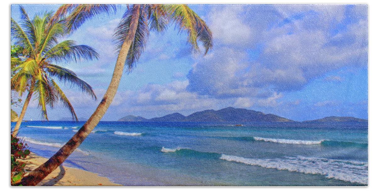 Caribbean Beach Towel featuring the photograph Caribbean Paradise by Scott Mahon