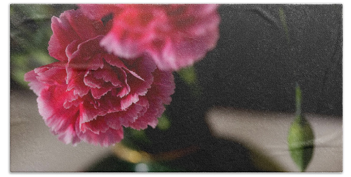 Carnations Beach Towel featuring the photograph Carnation Series 2 by Mike Eingle