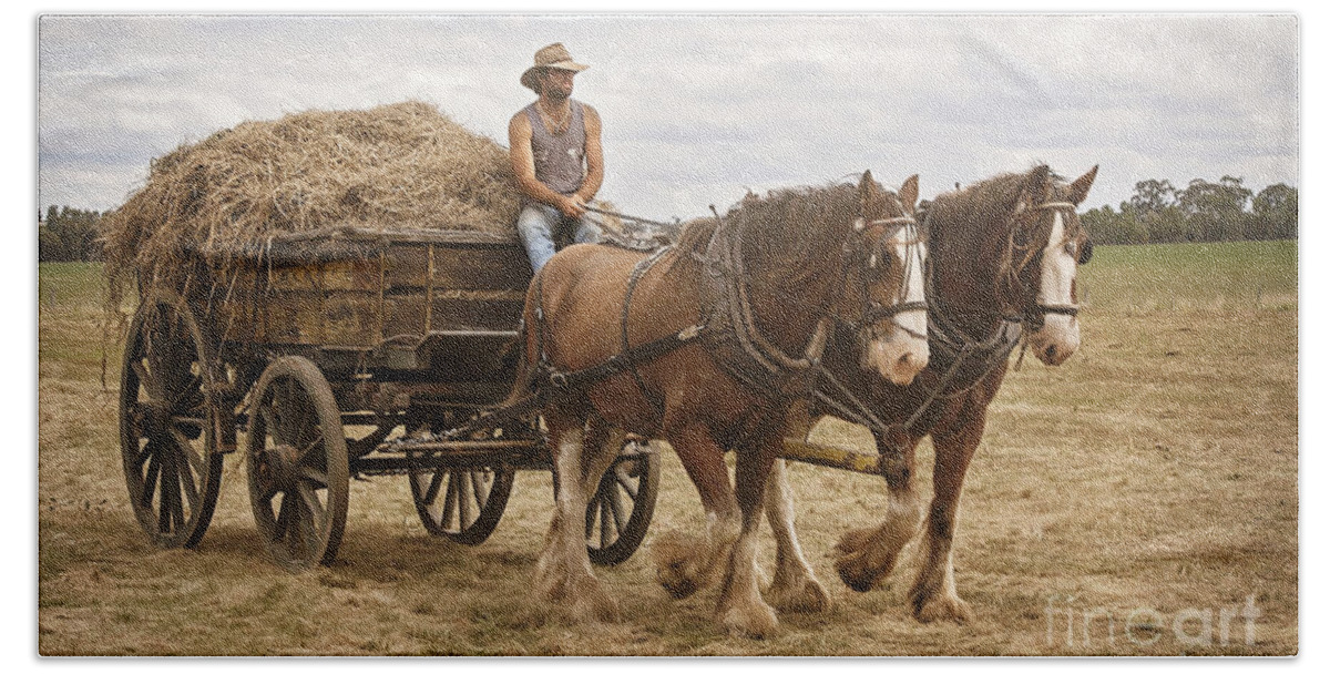 Horse Beach Sheet featuring the photograph Carting Hay by Linda Lees