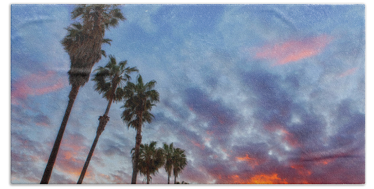 Palms Beach Towel featuring the photograph Casitas Palms by John A Rodriguez