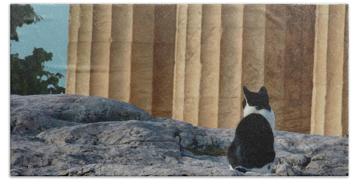 Cats Beach Towel featuring the photograph Cat at Parthenon, by Coke Mattingly
