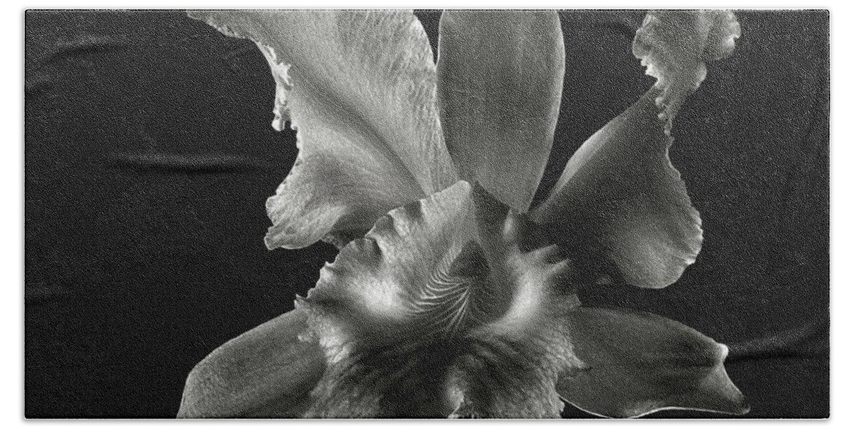 Flower Beach Towel featuring the photograph Catalea Orchid in Black and White by Endre Balogh