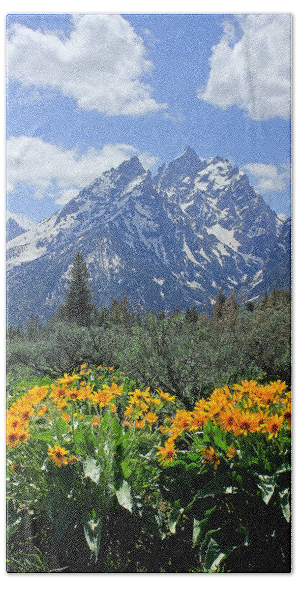 Mt. Moran Beach Towel featuring the photograph DM9328-Cathedral Group Tetons by Ed Cooper Photography