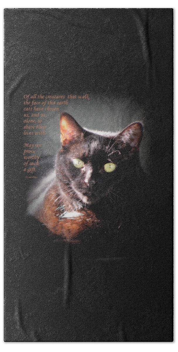 Quotes Beach Towel featuring the photograph Cats Chose Us by Sue Long