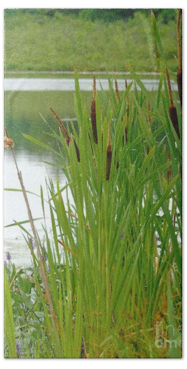 Landscape Beach Sheet featuring the photograph Cattails and Still Water by Susan Lafleur