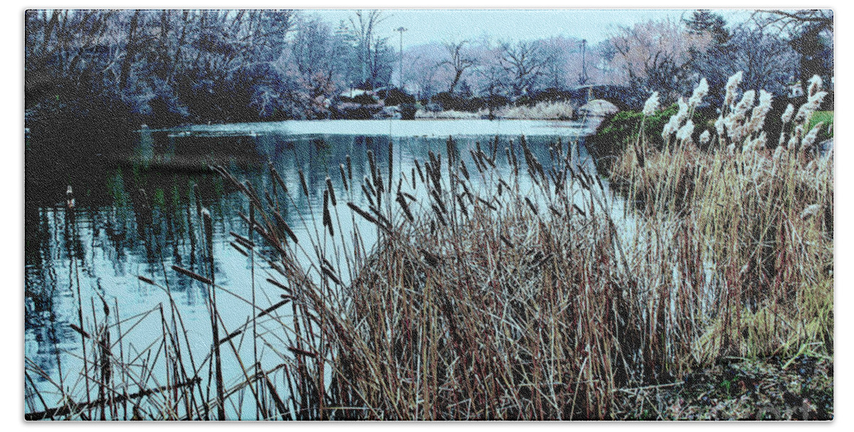 Park Beach Towel featuring the photograph Cattails On the Water by Sandy Moulder