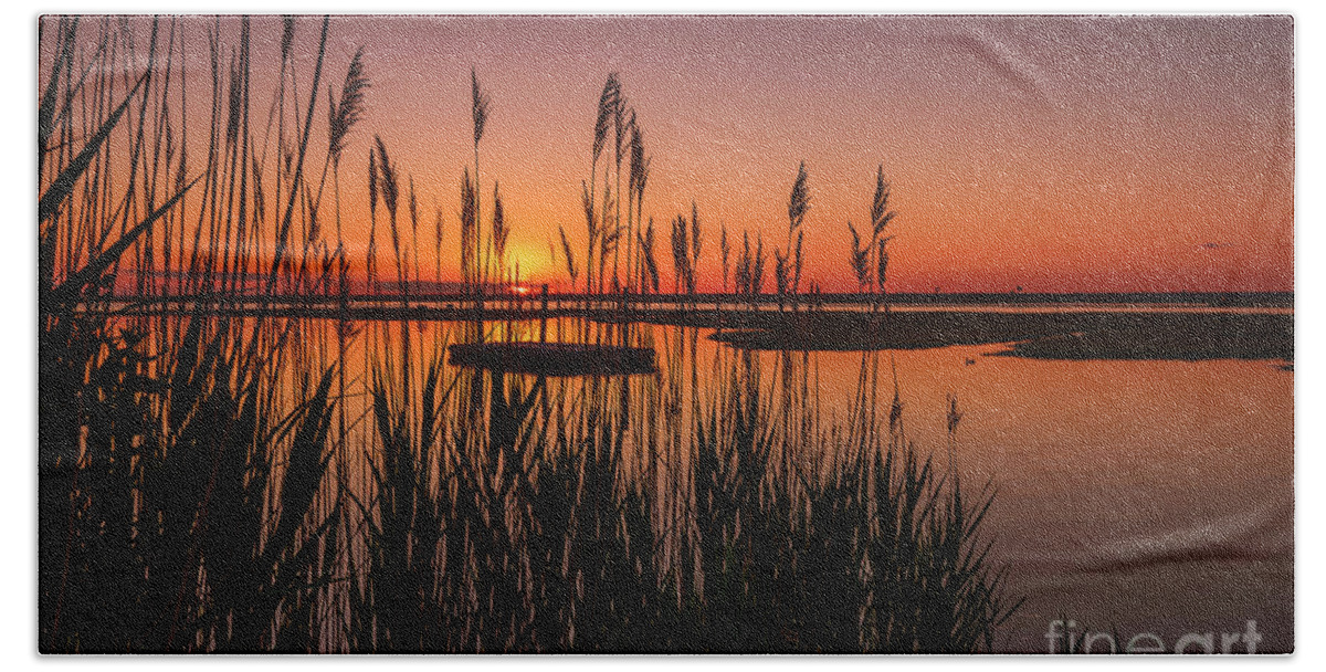 Docks Beach Towel featuring the photograph Cedar Beach Sunset in the Reeds by Alissa Beth Photography