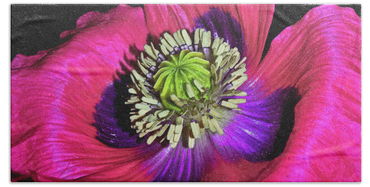 Pink Beach Sheet featuring the photograph Centerpiece - Poppy 020 by George Bostian