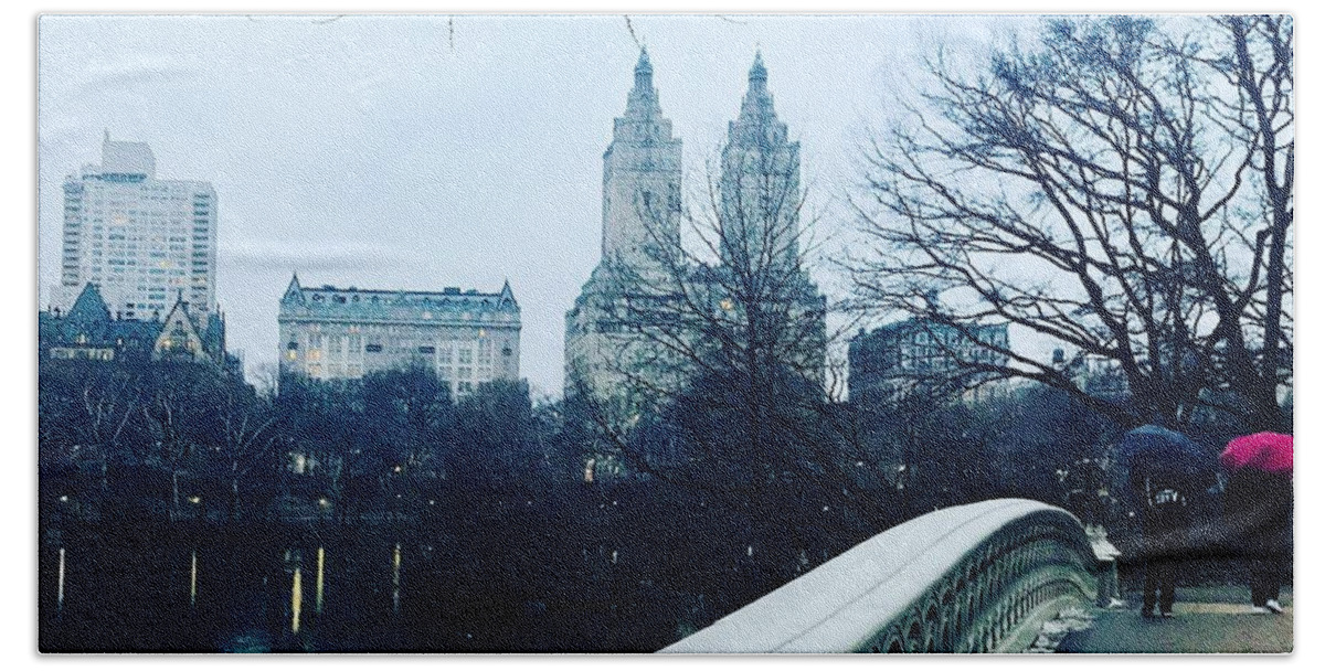 Central Park Beach Towel featuring the photograph Central Park Drizzle by Beth Saffer