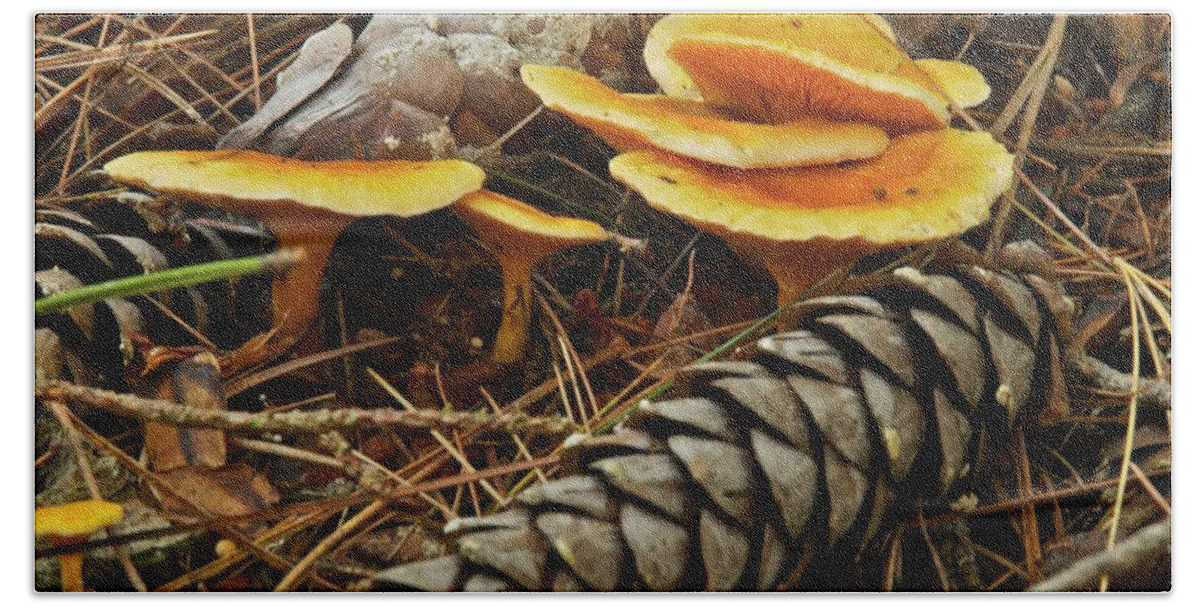 Chanterelle Mushroom Mushrooms Fungus Fungi Edible Pine Cones Pine Needles Forest Decay Nature Mgp Photography Michael Peychich Yellow Brown Michigan Autumn Beach Towel featuring the photograph Chanterell Mushrooms by Michael Peychich