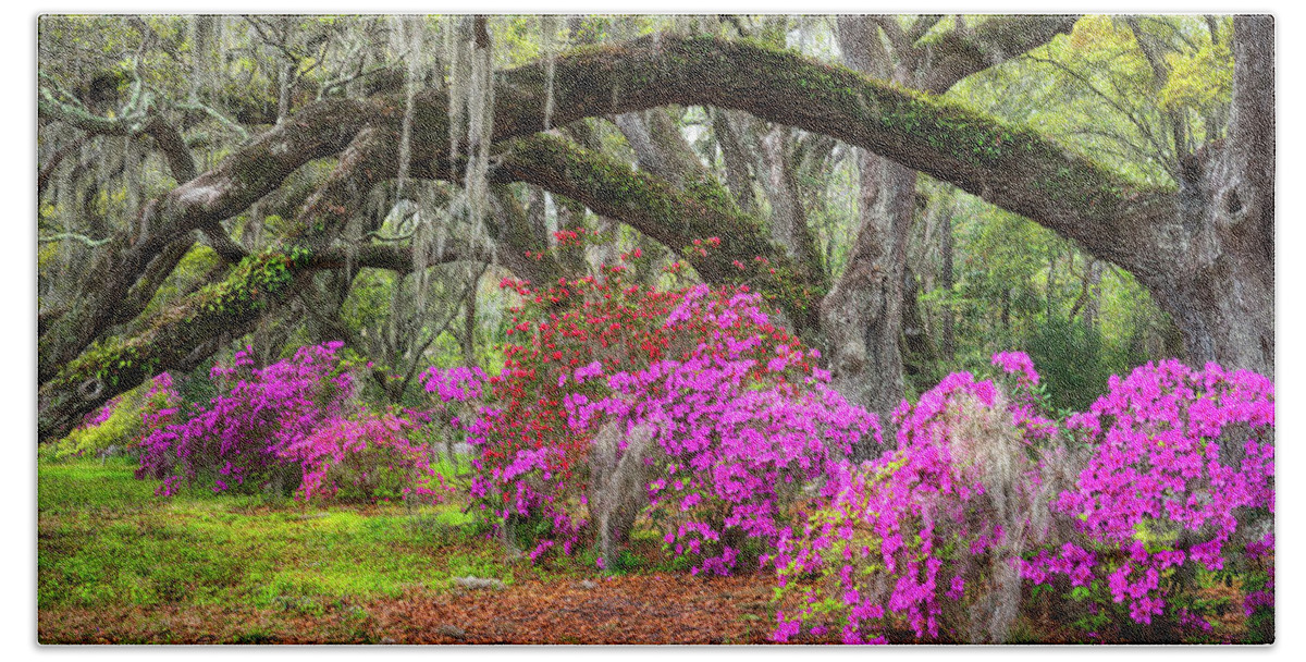 Charleston Beach Towel featuring the photograph Charleston South Carolina Spring Flowers Lowcountry Landscape Photography by Dave Allen