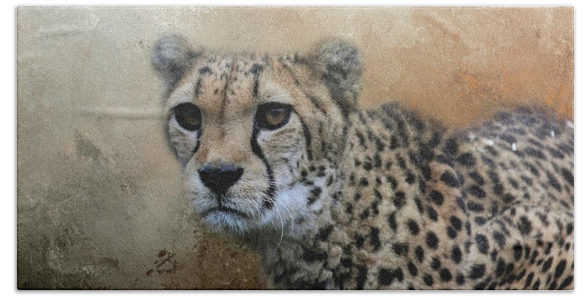 Cheetah Beach Sheet featuring the photograph Cheetah Portrait by Eva Lechner