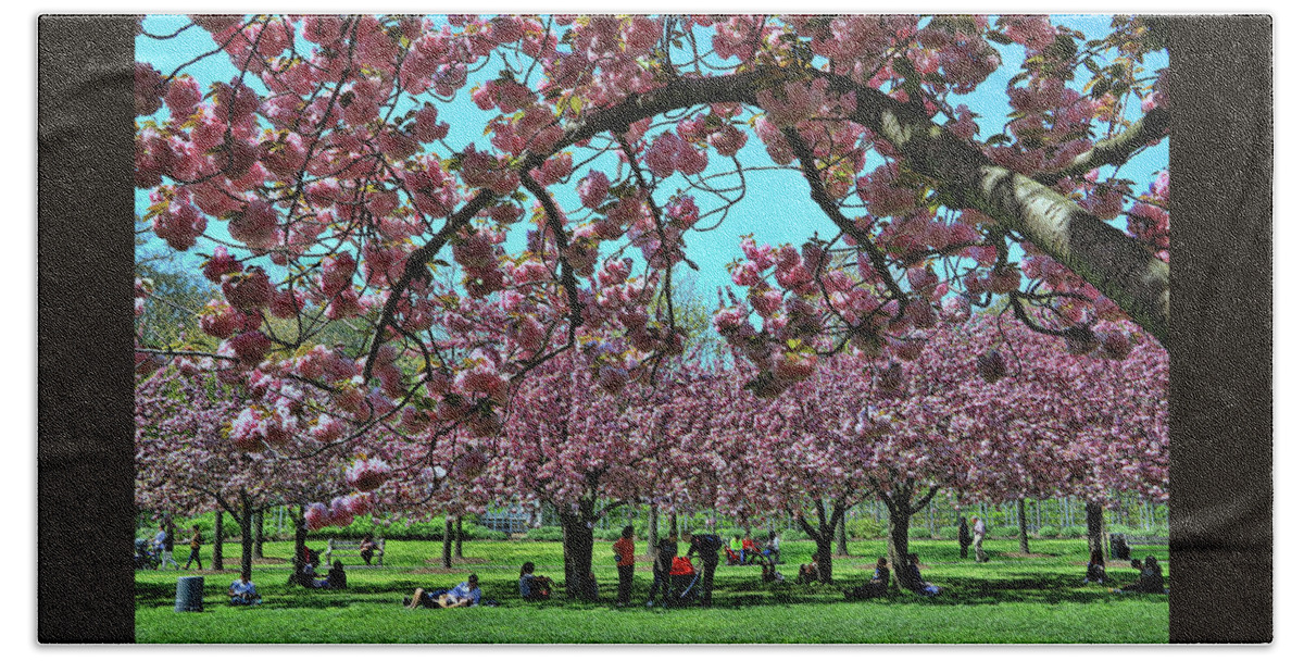 Cherry Beach Sheet featuring the photograph Cherry Blossom Trees of B B G #2 by Allen Beatty