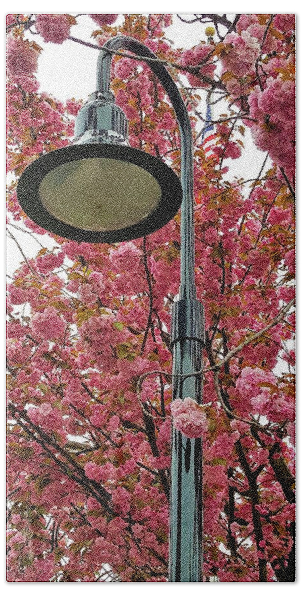 Cherry Blossoms Beach Towel featuring the photograph Cherry Blossoms Lamp Post by Rob Hans