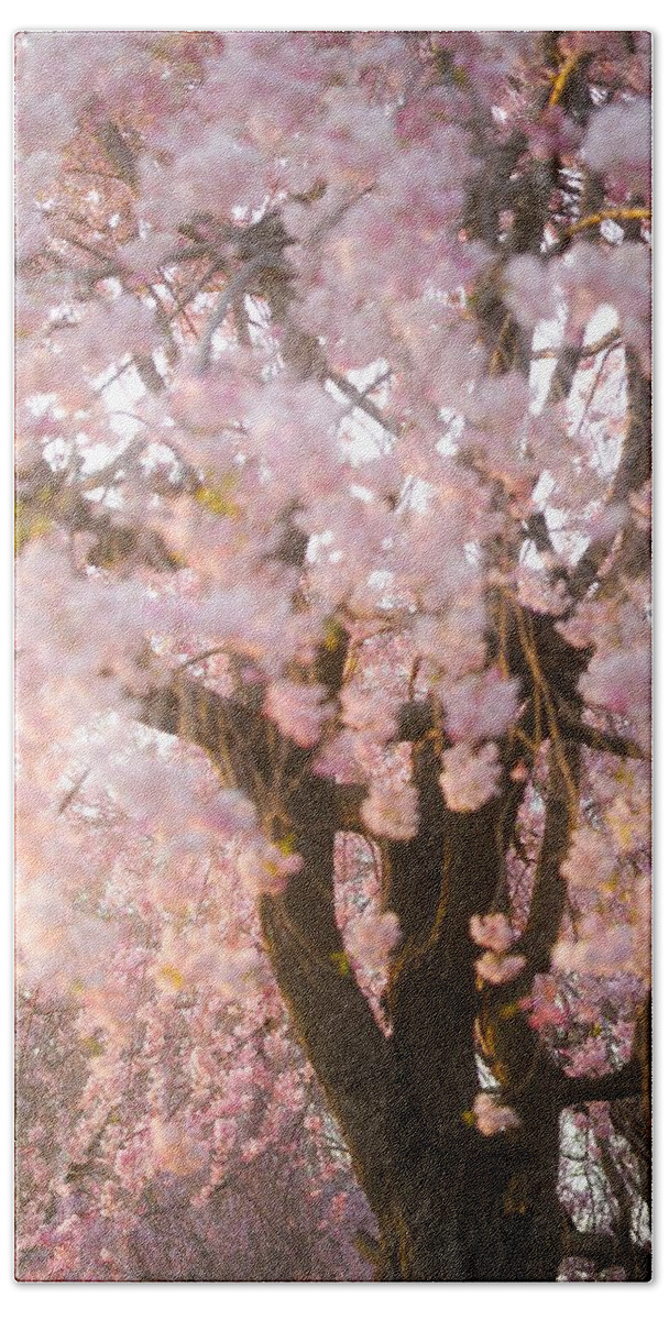 Cherryblossoms Beach Towel featuring the photograph Cherry blossoms#11 by Yasuhiro Fukui