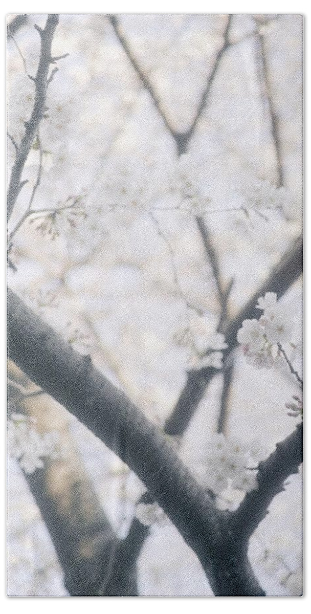 Cherryblossoms Beach Towel featuring the photograph Cherry blossoms#4 by Yasuhiro Fukui
