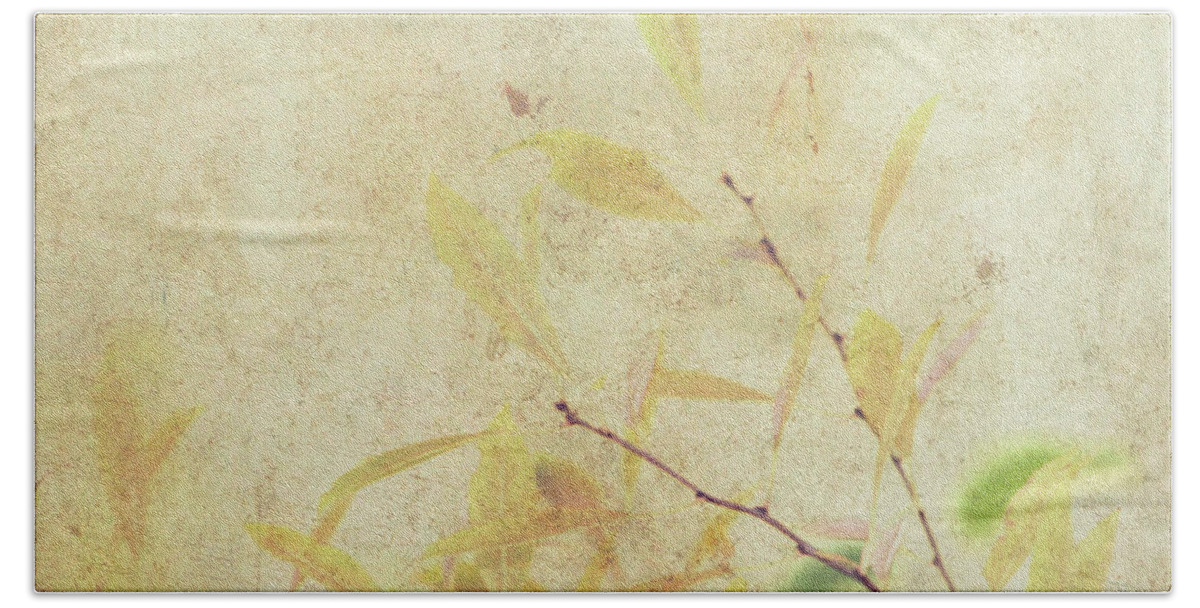 Rice Paper Texture Beach Towel featuring the photograph Cherry Branch on Rice Paper by Scott Carlton